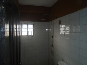 Image 1 Title
