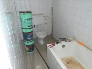 Image 1 Title