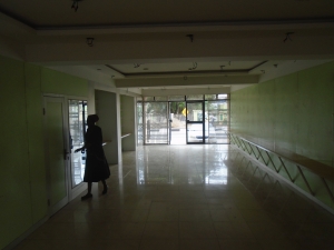 Image 1 Title