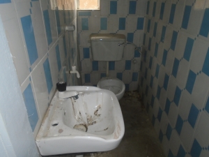 Image 1 Title