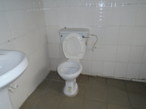 Image 1 Title
