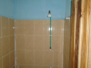 Image 1 Title