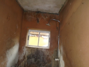 Image 1 Title