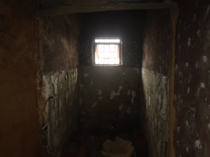 Image 1 Title