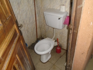 Image 1 Title