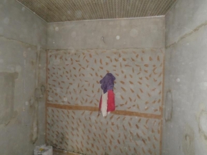 Image 1 Title
