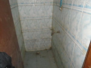 Image 1 Title