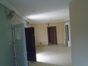 Image 1 Title