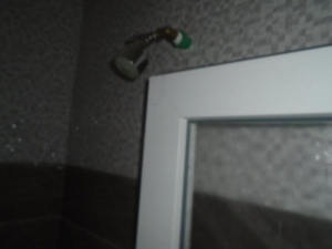 Image 1 Title