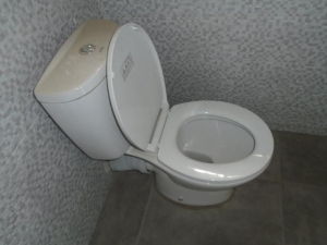 Image 1 Title