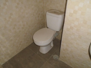 Image 1 Title