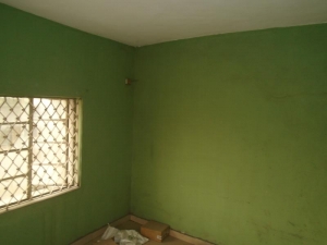 Image 1 Title