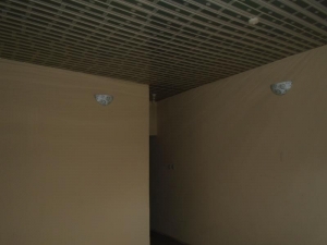 Image 1 Title