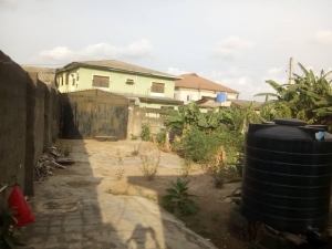 Image 1 Title