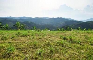 2000sqm Corner Piece Land 2,000 Meter Square of Land for Sale Ikoyi Lagos Vetra  Property