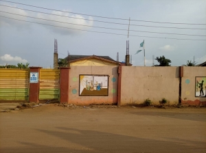 Image 1 Title