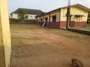 Image 1 Title
