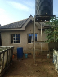 Solid Decent 3bedroom Bungalow On Half Plot Of Land Detached Bungalow for Sale Ipaja Lagos Vetra  Property