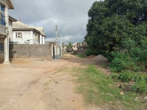Image 1 Title