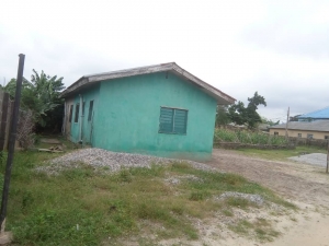 Image 1 Title