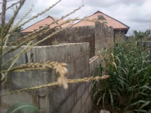 Image 1 Title