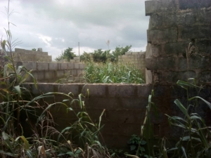 Image 1 Title