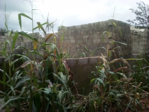 Image 1 Title