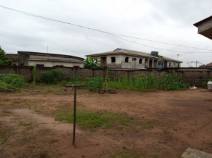 Image 1 Title