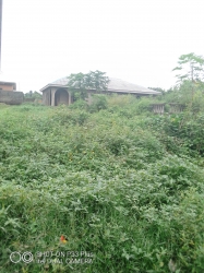Half Plot Of Land With A Building At The Setback In A Secure And Serene Environ 1 Plot of Land for Sale Alimosho Lagos Vetra  Property