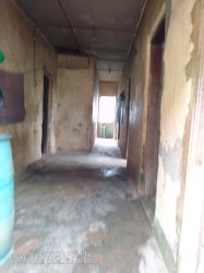 Image 1 Title