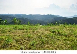 2800sqm Land 2,800 Meter Square of Land for Sale Ikoyi Lagos Vetra  Property