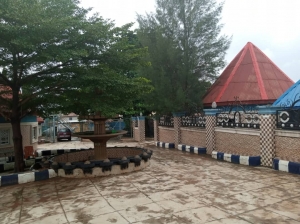 Image 1 Title