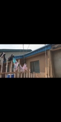 Decent 2units Of 3bedroom Bungalow In An Estate Detached Bungalow for Sale Alimosho Lagos Vetra  Property