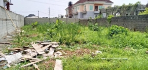 A Plot Of Land Measuring 635m2 In A Serene Gra 635 Meter Square of Land for Sale Ogudu Lagos Vetra  Property