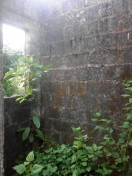 Image 1 Title