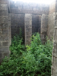 Image 1 Title