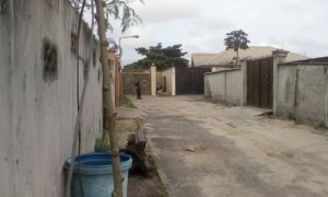 Image 1 Title