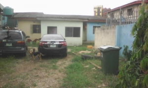 Decent 3bedroom Bungalow At The Setback On A Plot Detached Bungalow for Sale Alimosho Lagos Vetra  Property