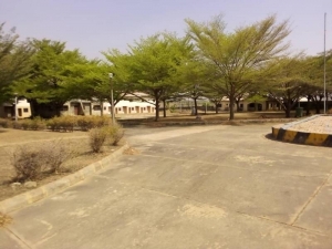 Image 1 Title