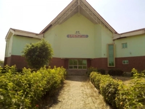 Image 1 Title