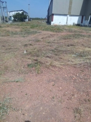 Rice Mills On 50hectares Of Land Factory for Sale Offa Kwara Vetra  Property