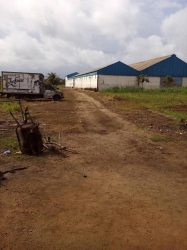 Instant Noddles Factory On 24.6acres Of Land Factory for Sale Ado Odo Ota Ogun Vetra  Property