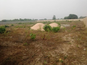 4 And Half Plot Of Land With C Of O 5 Plots of Land for Sale Badagry Lagos Vetra  Property