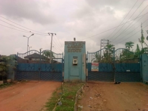 A Plot Of Land Measuring 60ft By 120ft 7,200 Foot Square of Land for Sale Ifo Ogun Vetra  Property
