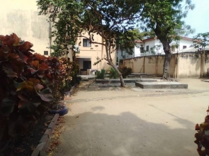Image 1 Title