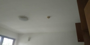 Image 1 Title