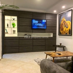 1 Bedroom Fully Furnished And Serviced Mini Flat Mini Flat for Rent Maitama Abuja Vetra  Property