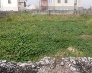Image 1 Title