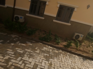 Image 1 Title