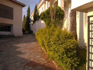 Image 1 Title
